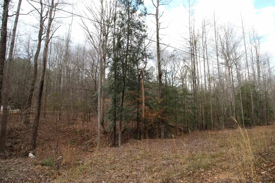 0 Kilgore Meadows Road, Woodruff, SC 29388 - #3