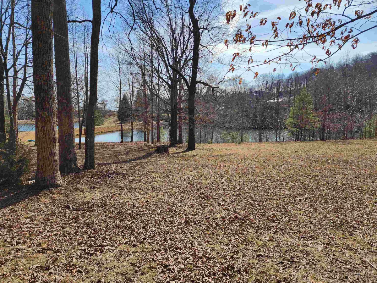 Lot 77 Serpentine Drive, Columbus, NC 28722 - #1