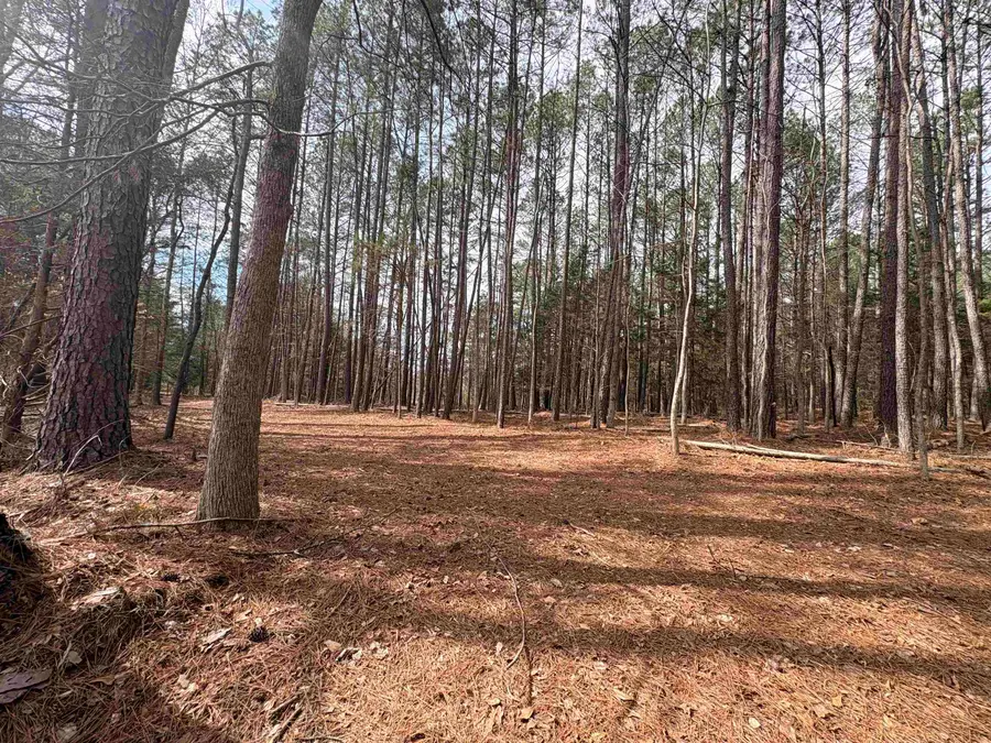 00 Union Hwy, Pacolet, SC 29372 - #3