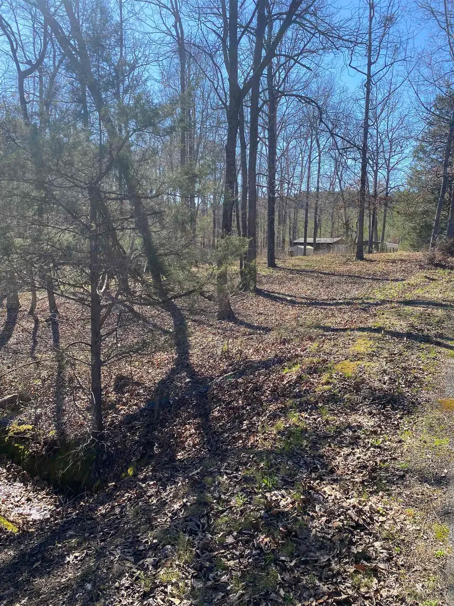 0 Tomachichi Road, Cross Hill, SC 29332 - #2