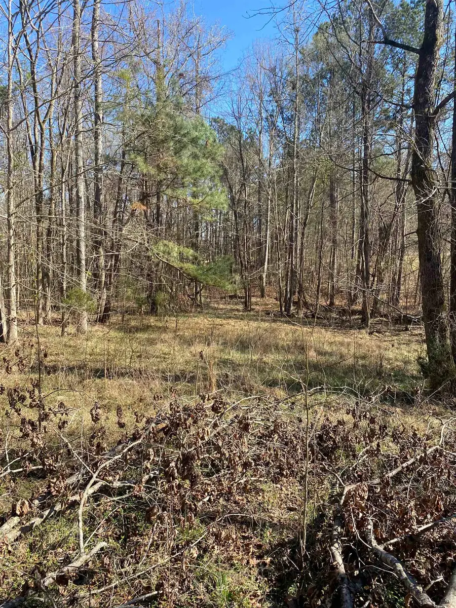 0 Tomachichi Road, Cross Hill, SC 29332 - #3