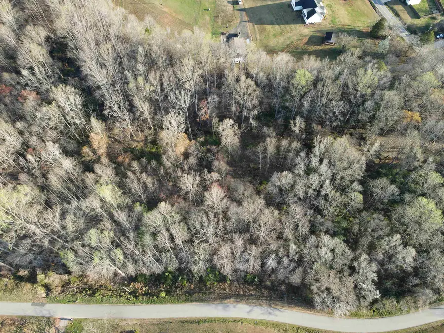 00 Greer Road, Lyman, SC 29365 - #2