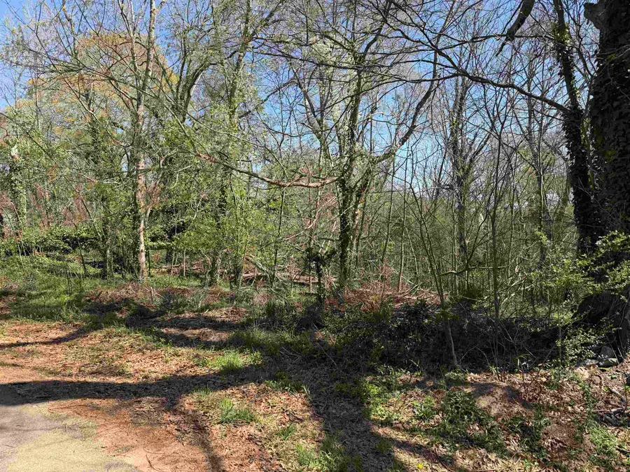 149 Highland Street, Glendale, SC 29346 - #2