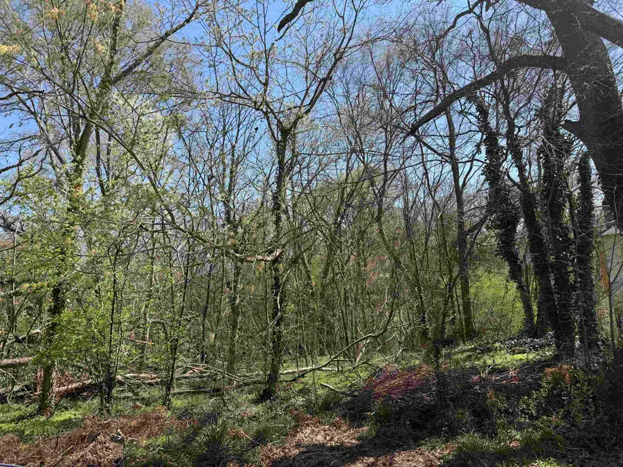 149 Highland Street, Glendale, SC 29346 - #3