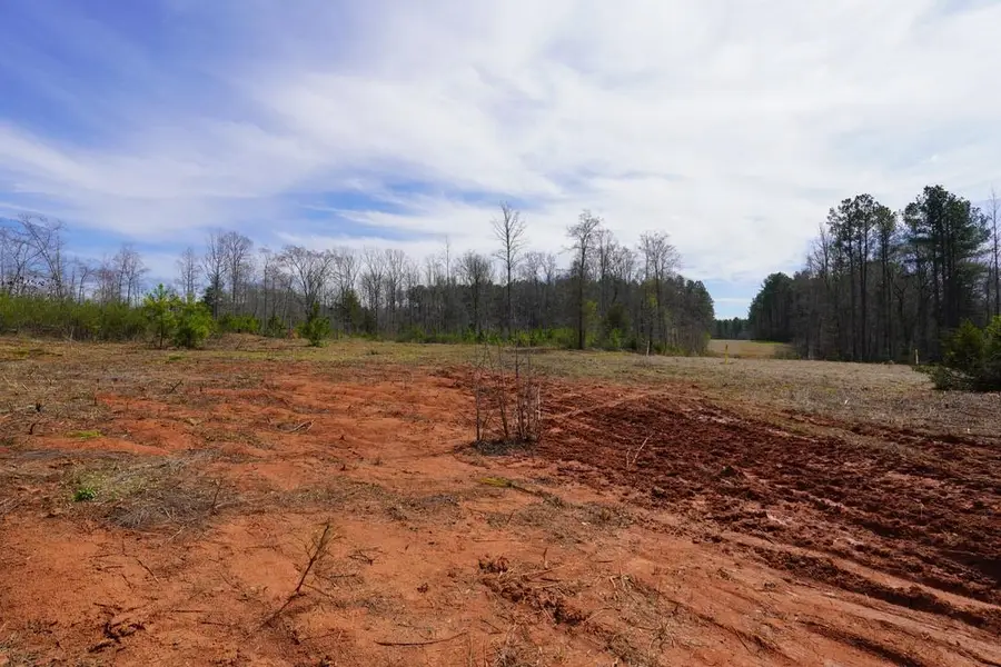 00 Mount Shoals Road, Enoree, SC 29335 - #3