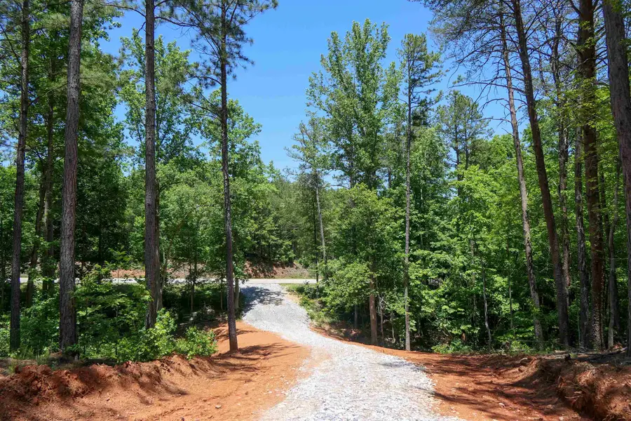 4063 Old Georgia Hwy, Cowpens, SC 29330 - #2