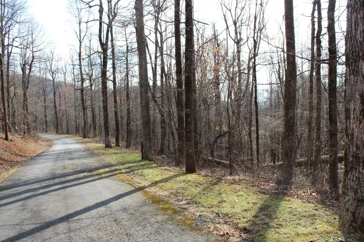Lot 20 Sunset Ridge Drive, Columbus, NC 28722 - #1