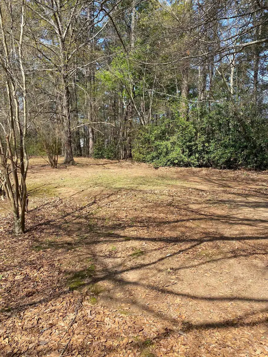 320 Tulip Poplar Court, Spartanburg, SC 29302 - #2