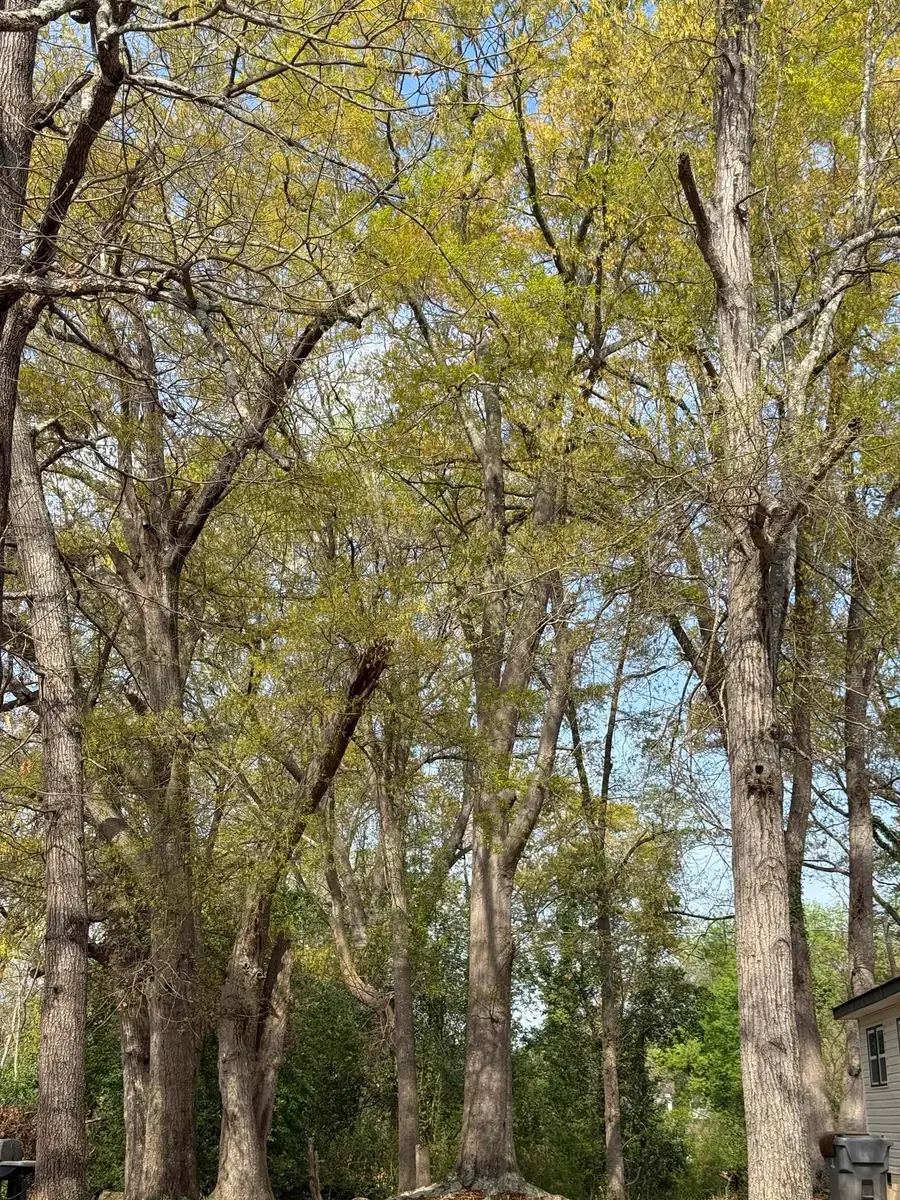 204 S Cleveland Park Drive, Spartanburg, SC 29303 - #2