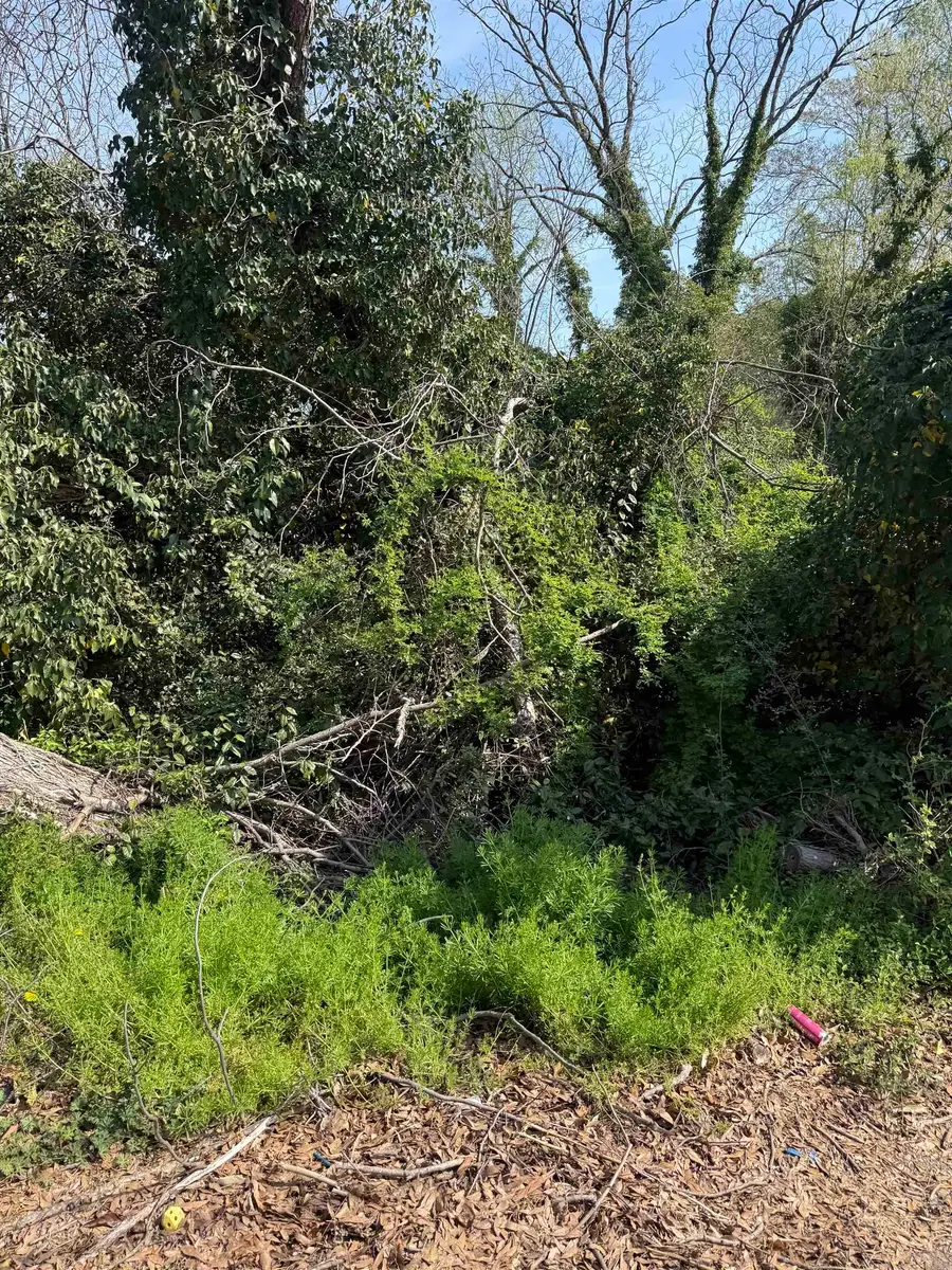 234 Appian Drive, Spartanburg, SC 29306 - #3