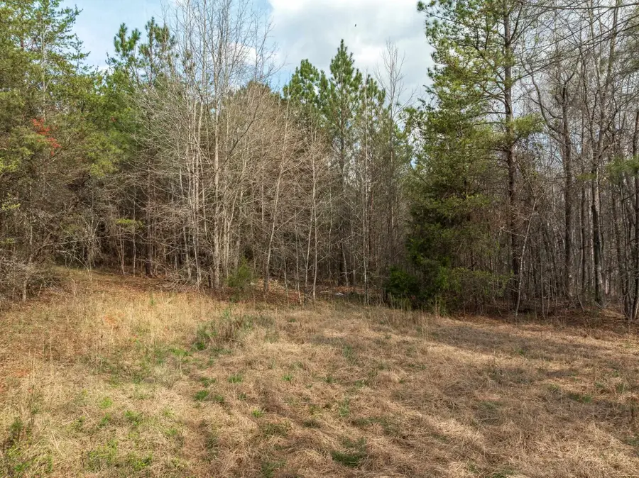 000 Melvin Hill Road, Campobello, NC 28782 - #2