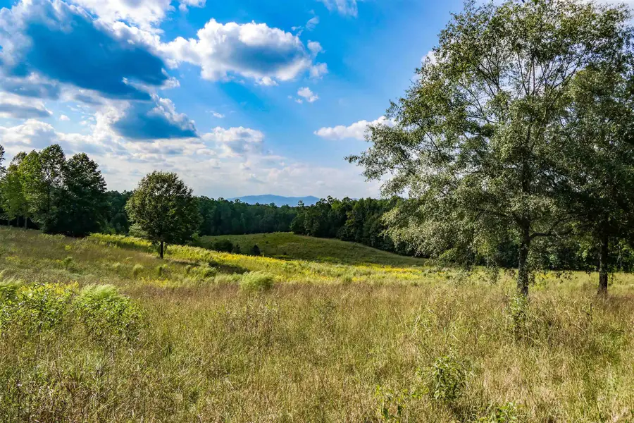 Highway 357 N Highway 357, Campobello, SC 29322 - #3