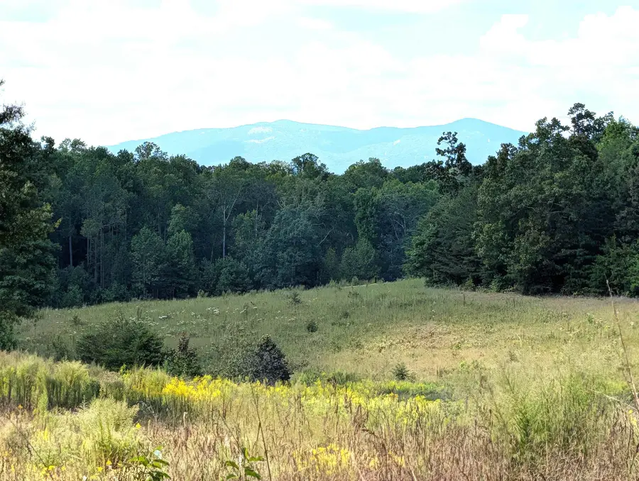 Hwy 357 Campobello, Sc, Campobello, SC 29322 - #2