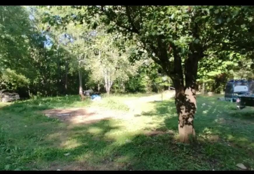 231 Bird Street, Buffalo, SC 29379 - #2