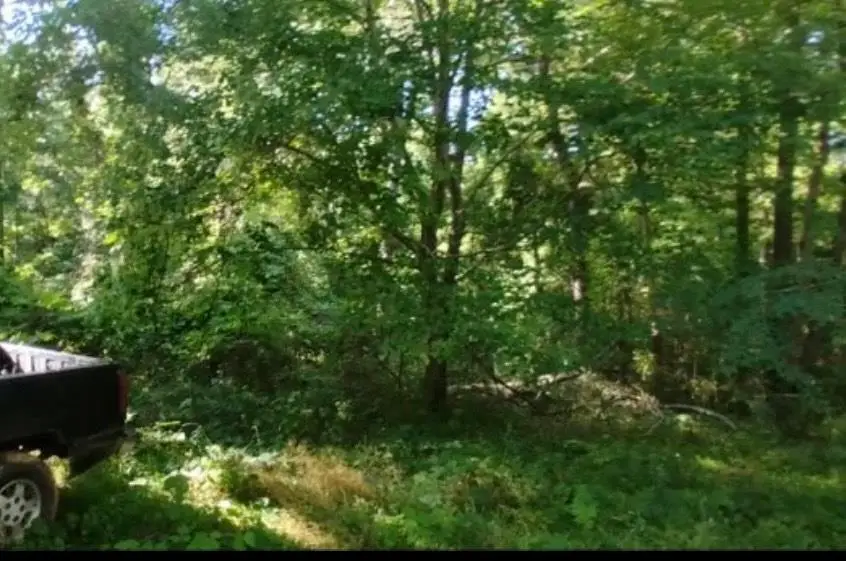 231 Bird Street, Buffalo, SC 29379 - #3