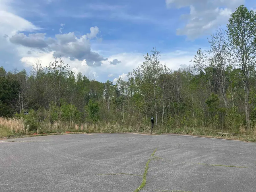 418 N Walcher Farm Drive, Inman, SC 29349 - #3