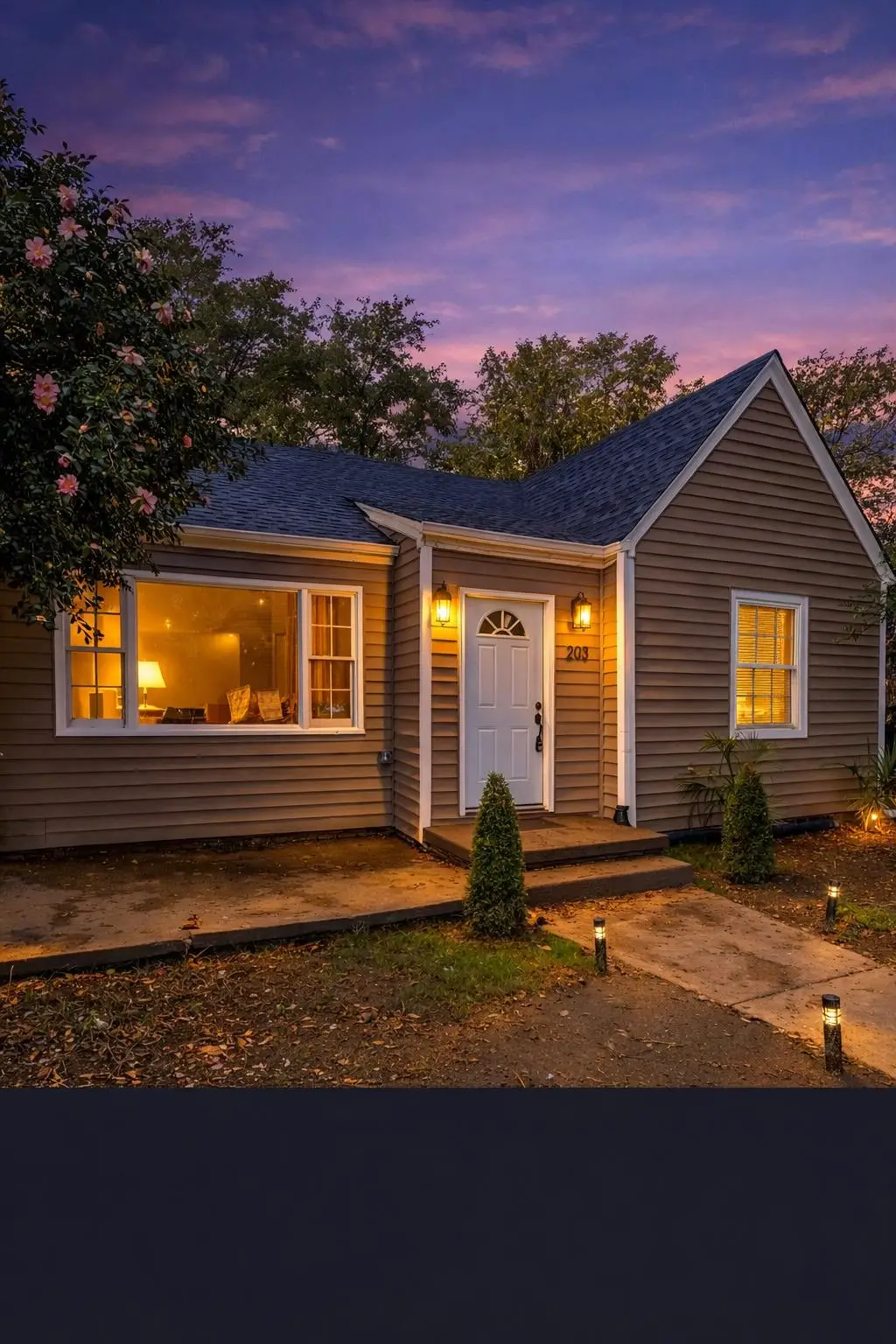 203 Wilson St, Union, SC 29379 - #1