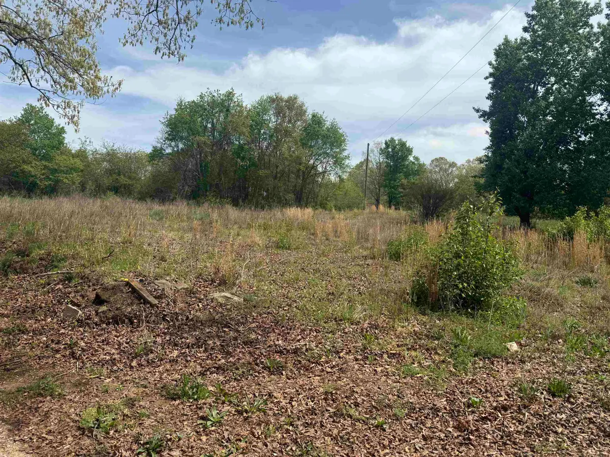 240 Overhead Bridge Road, Chesnee, SC 29323 - #1