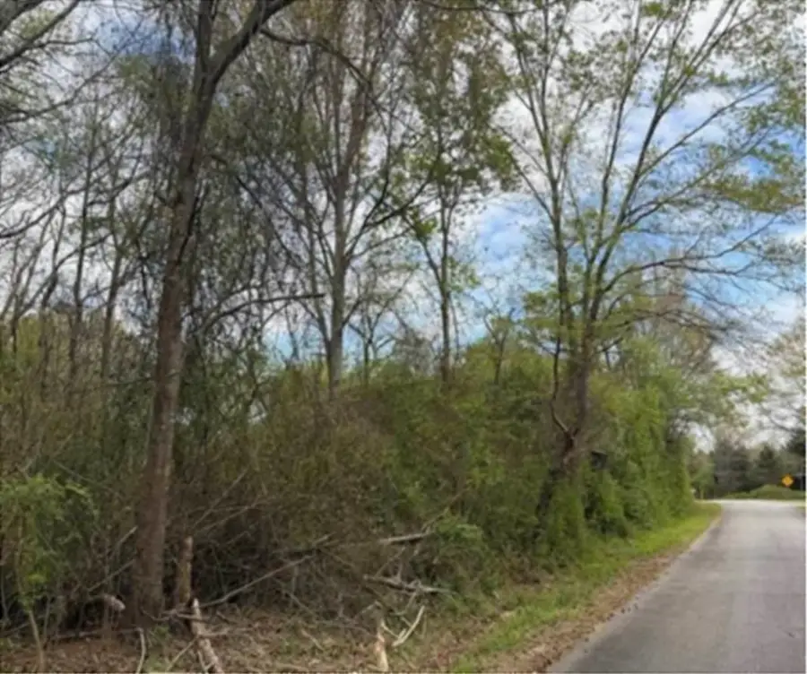 Augusta Road, Pelzer, SC 29669 - #2