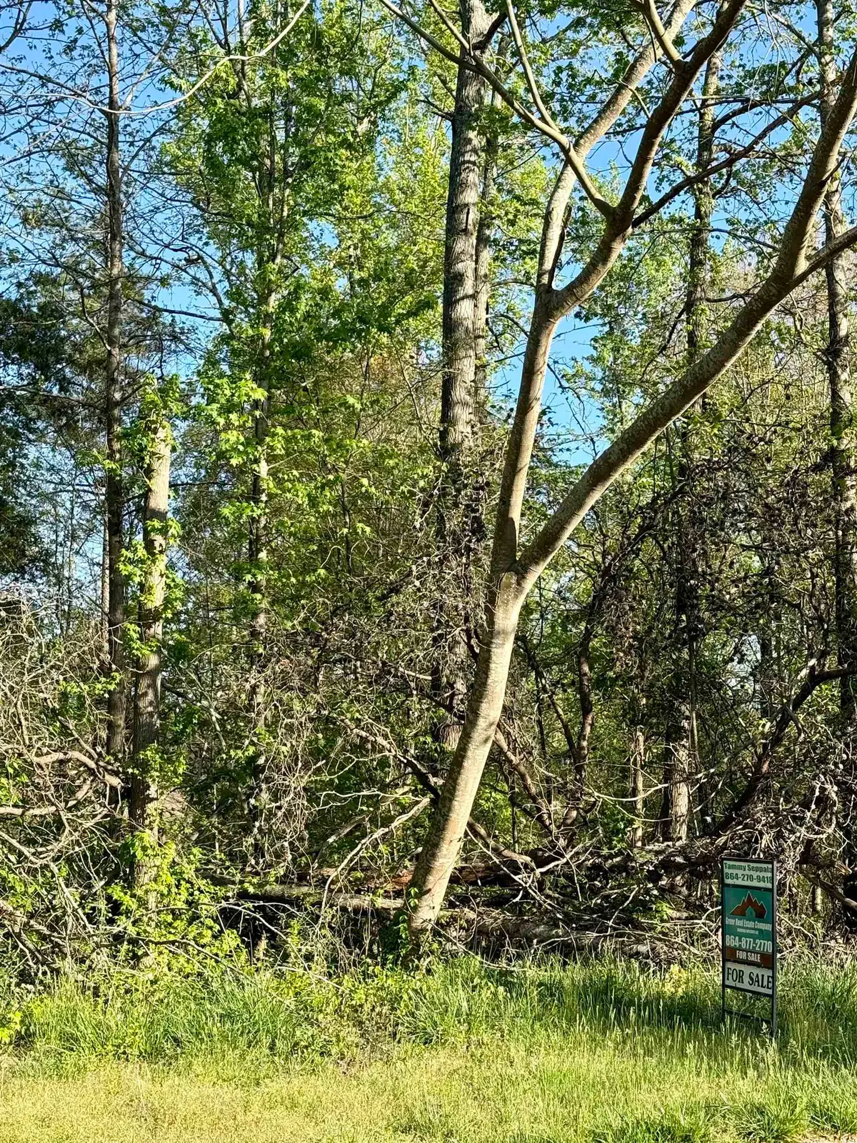 531 Scenic Oak Drive, Moore, SC 29369 - #1