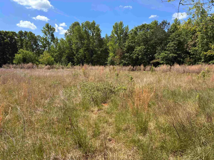 617 Potter Road, Gaffney, SC 29341 - #2