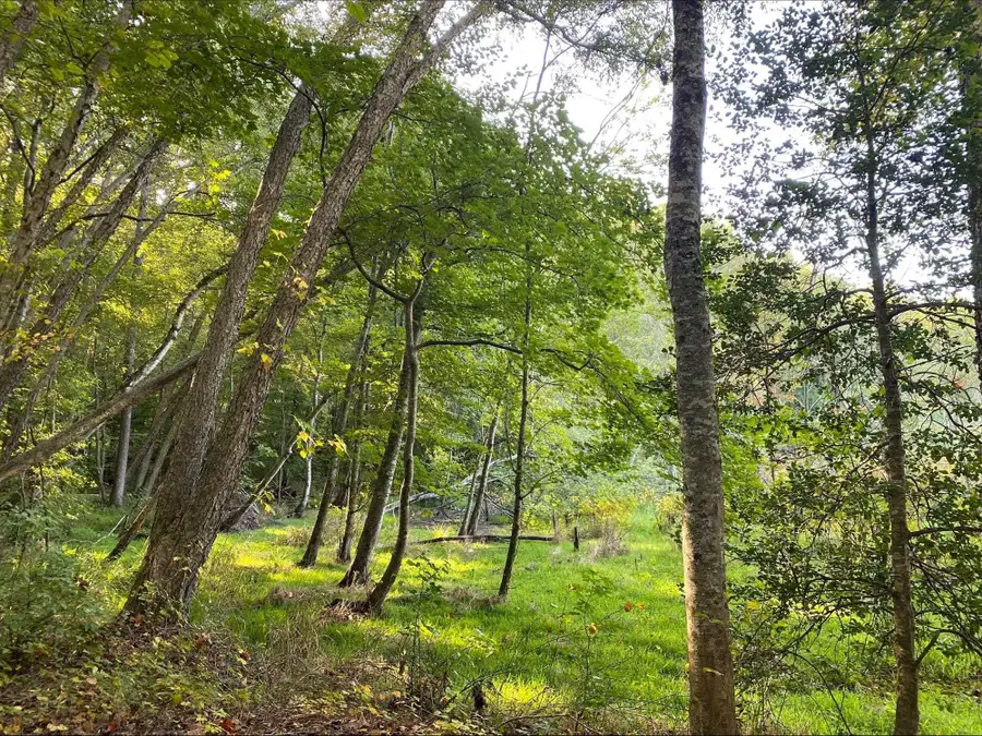 1609 Country Estates Road, Inman, SC 29349 - #3