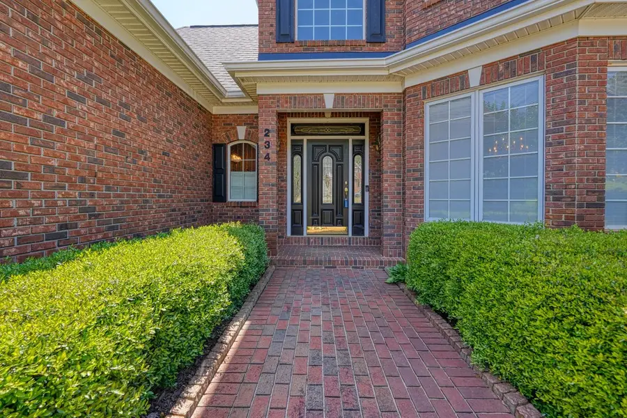 234 N Lake Emory Drive, Inman, SC 29349 - #2