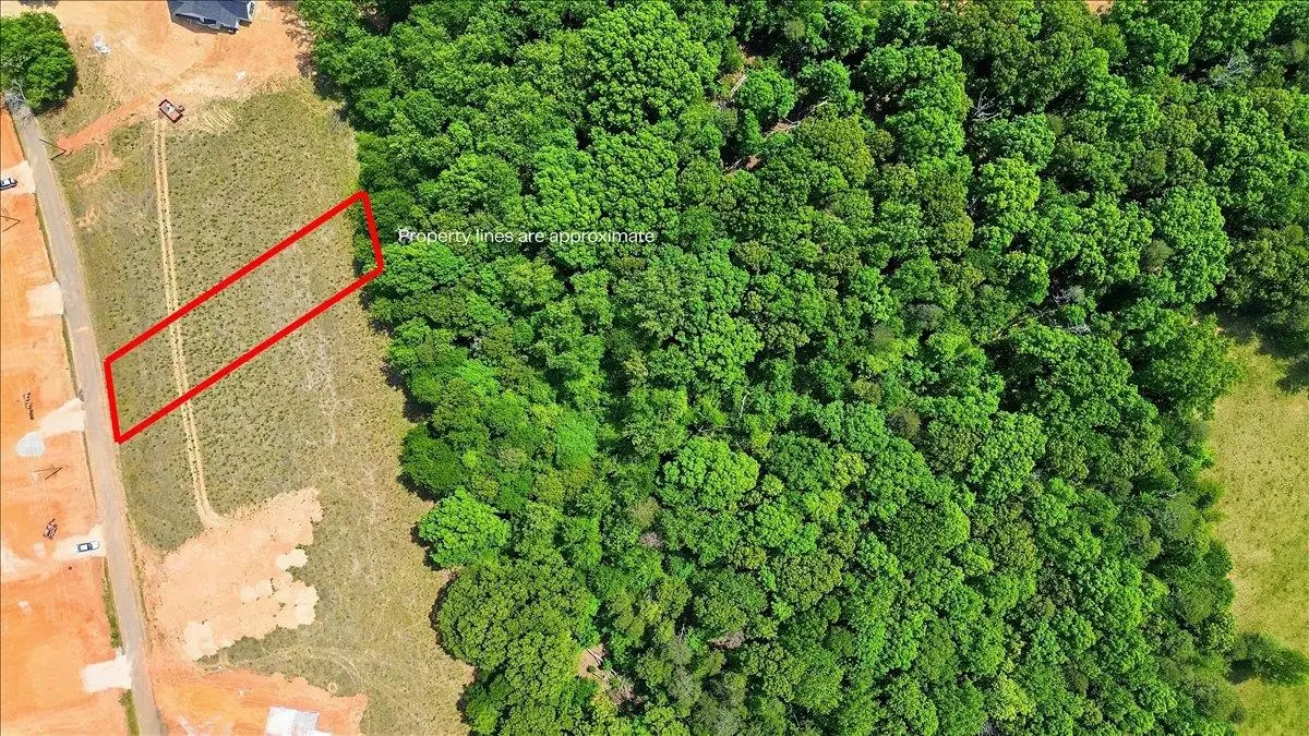 Lot 4 Parris Farm Road, Chesnee, SC 29323 - #1