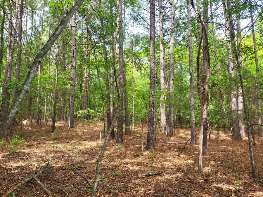 0 Love Springs Road, Hilltop, SC 29303 - #2