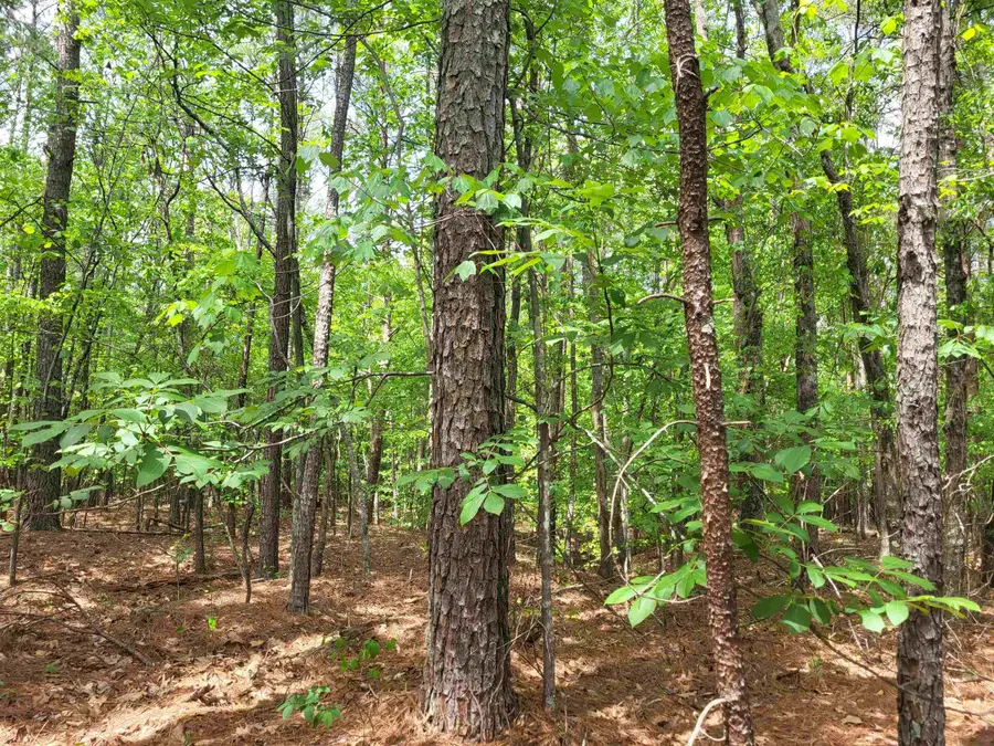 0 Courtney Road, Cowpens, SC 29330 - #3