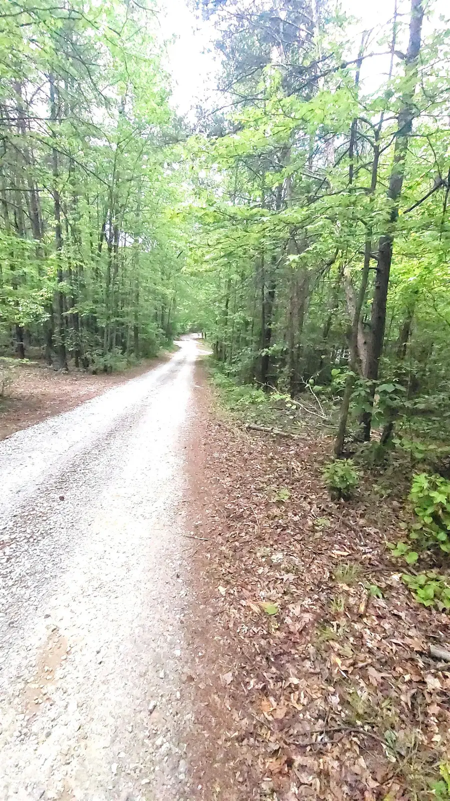 20 Integral Lane, Travelers Rest, SC 29690 - #3