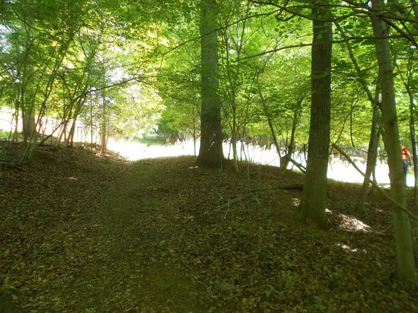 Lot 15,16 Cypress Road, Clover, SC 29710