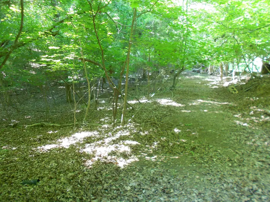 Lot 15,16 Cypress Road, Clover, SC 29710 - #2
