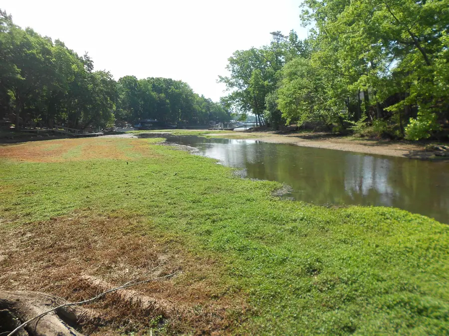Lot 15,16 Cypress Road, Clover, SC 29710 - #3