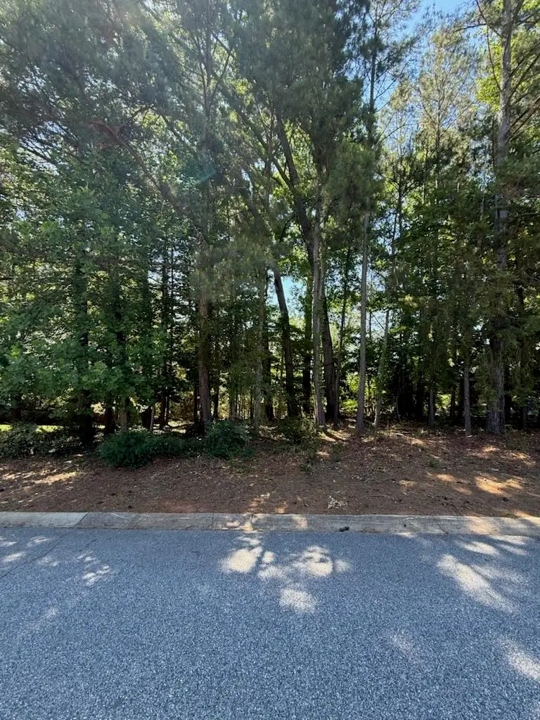 213 S Carleila Lake Way, Spartanburg, SC 29307 - #2