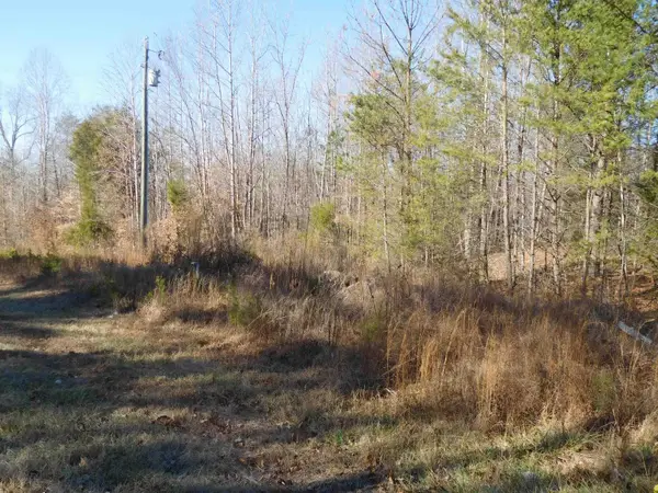 TBD Leadmine Rd Road, Gaffney, SC 29340