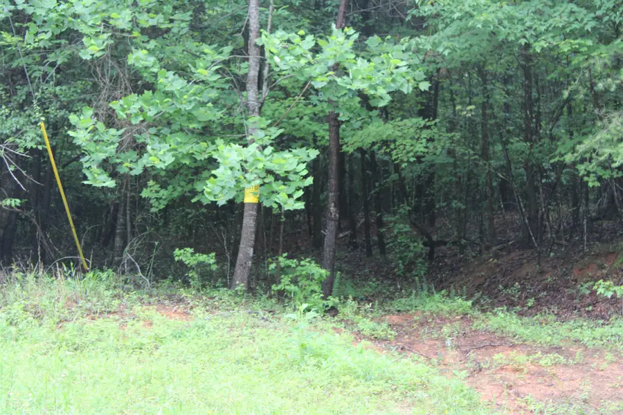 393 Goldmine Road, Spartanburg, SC 29307 - #2