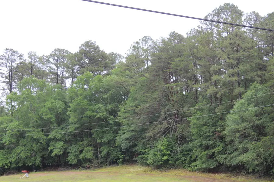 393 Goldmine Road, Spartanburg, SC 29307 - #3