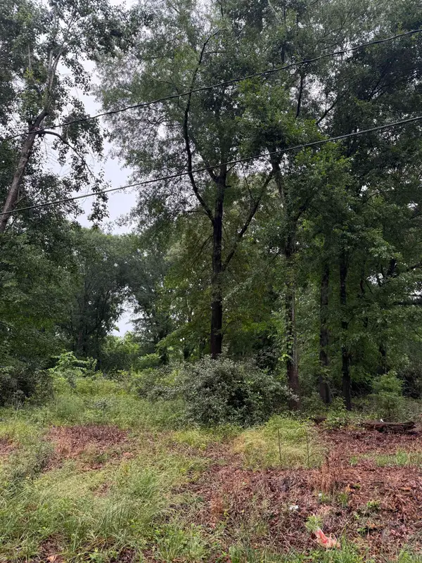 Merle Drive, Spartanburg, SC 29307