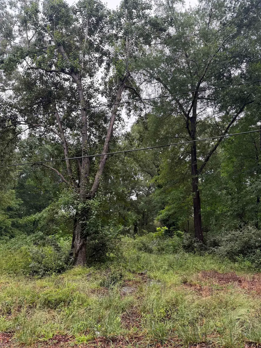 Merle Drive, Spartanburg, SC 29307 - #2