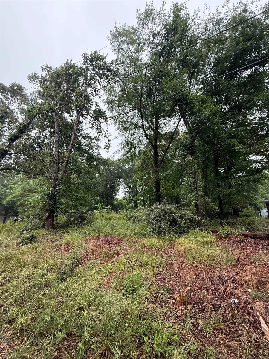 Merle Drive, Spartanburg, SC 29307 - #3
