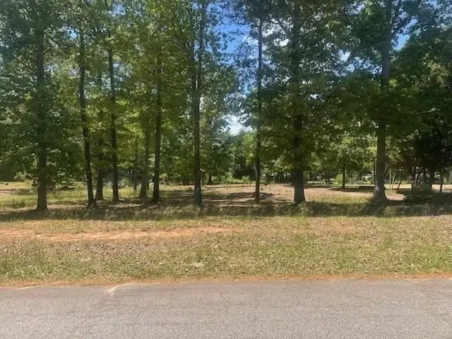 140 Highland Hills Drive, Campobello, SC 29322 - #1