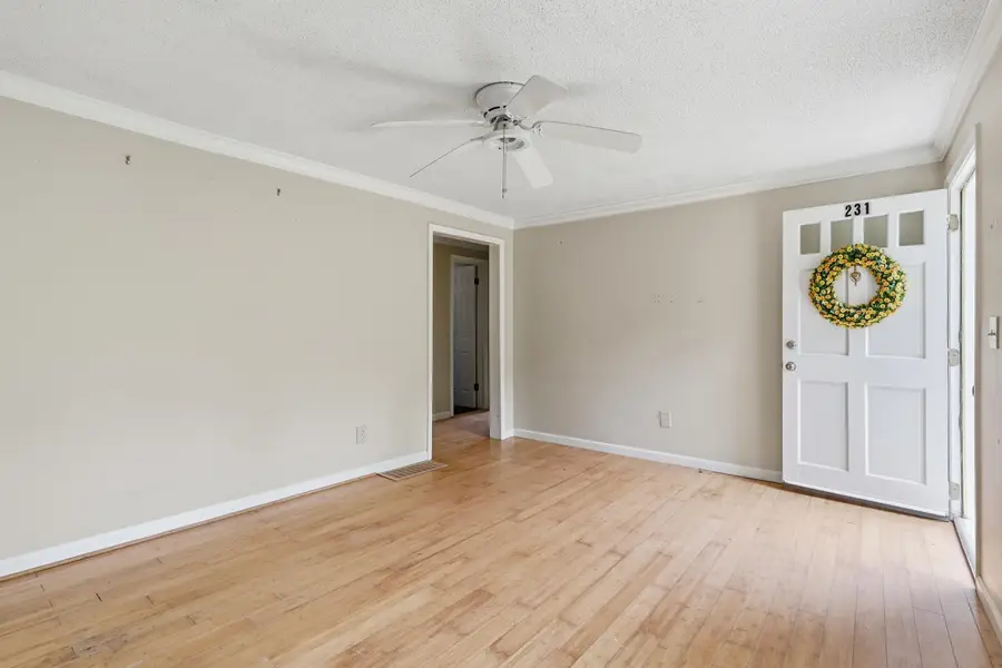 231 Ford Lane, Landrum, SC 29356 - #3