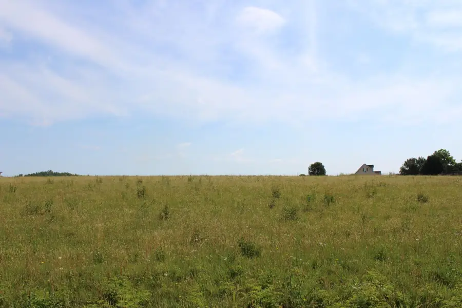 Lot 2 Lambs Grill Road, Rutherfordton, NC 28139 - #2