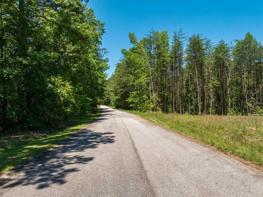 Wicklow, Campobello, SC 29322 - #2