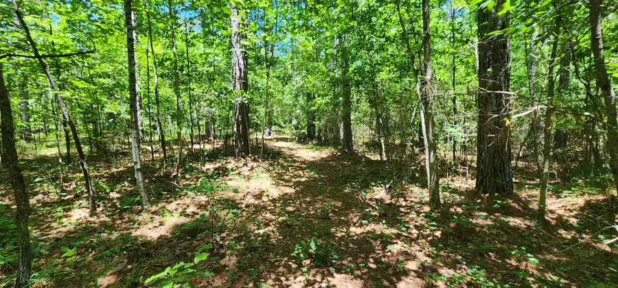 171 Bambi Lane, Mill Spring, NC 28756 - #3