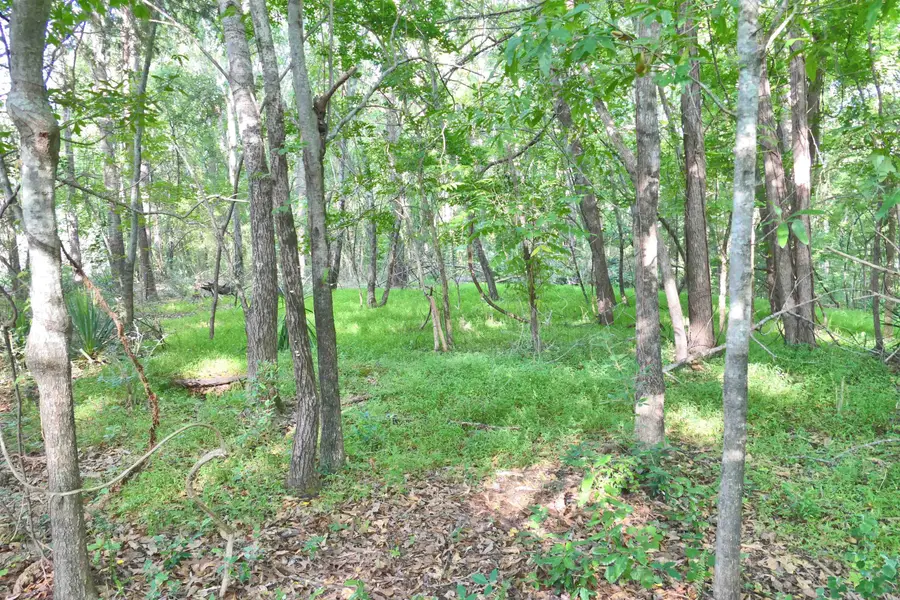 221 Coyl Rd, Gaffney, SC 29340 - #3