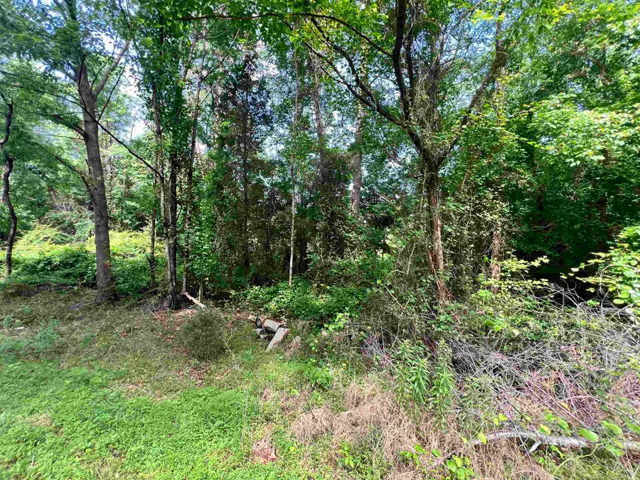 120 Spivey Creek Road, Landrum, SC 29356 - #2