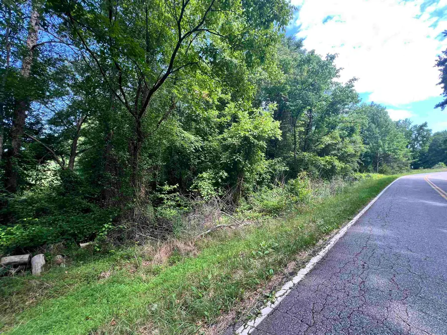 120 Spivey Creek Road, Landrum, SC 29356 - #3