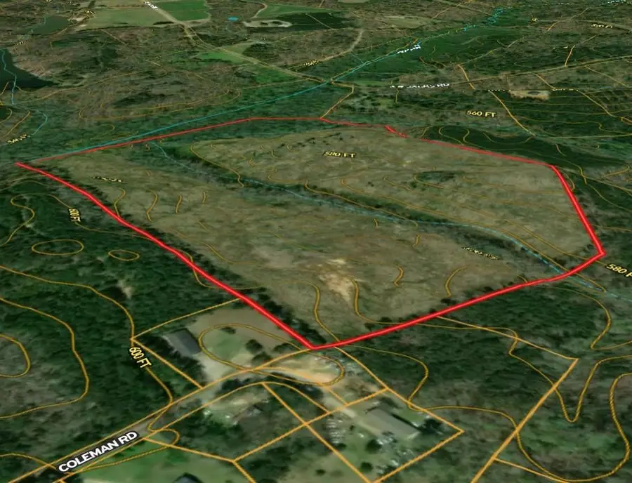 00 Coleman Road, Clinton, SC 29325 - #3